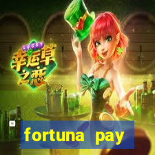 fortuna pay consultoria financeira ltda